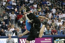 Enlarge photo 184
