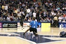 Enlarge photo 27