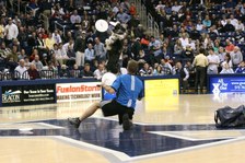 Enlarge photo 30