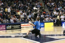 Enlarge photo 33