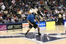 Enlarge photo 49