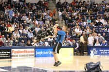 Enlarge photo 59