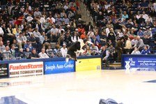 Enlarge photo 137