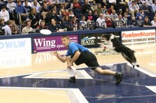 Enlarge photo 138