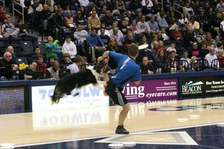 Enlarge photo 144