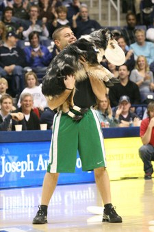 Enlarge photo 20