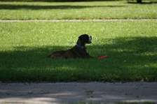 Keeneland 2006