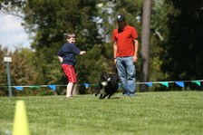 Enlarge photo 14