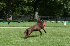 Enlarge photo 34
