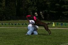 Enlarge photo 35