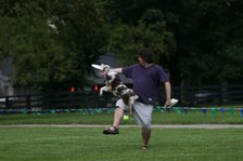Enlarge photo 37