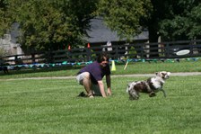 Enlarge photo 41