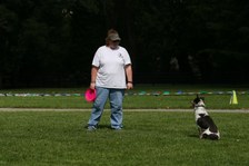 Enlarge photo 44