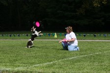 Enlarge photo 48