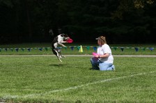Enlarge photo 49