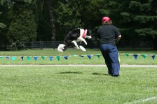 Enlarge photo 51
