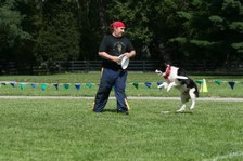 Enlarge photo 52