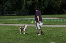 Enlarge photo 59
