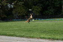 Enlarge photo 78