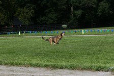 Enlarge photo 80