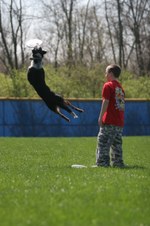 Enlarge photo 24