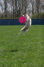 Enlarge photo 27