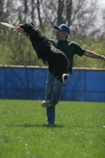 Enlarge photo 29