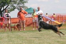 Enlarge photo 34