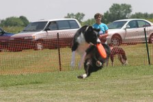 Enlarge photo 36