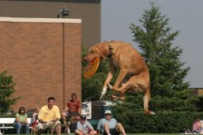 Enlarge photo 40