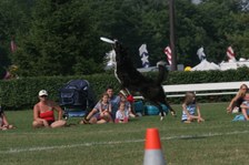 Enlarge photo 43