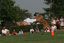 Enlarge photo 44
