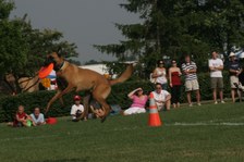 Enlarge photo 45