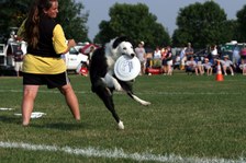 Enlarge photo 49