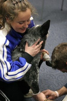 WOW!!! Great Disc Dogs AT Xavier