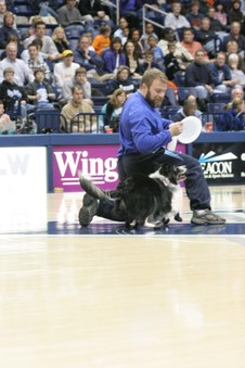 Enlarge photo 24