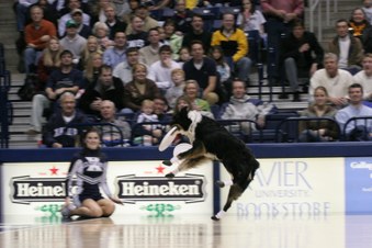 Enlarge photo 112