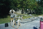 Enlarge photo 2