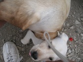 Enlarge photo 7