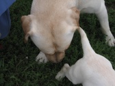 Enlarge photo 12
