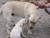 Enlarge photo 15