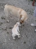Enlarge photo 29