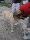 Enlarge photo 31