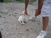 Enlarge photo 33