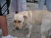 Enlarge photo 35