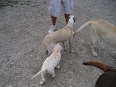 Enlarge photo 39