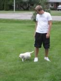Enlarge photo 53