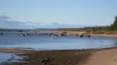 Enlarge photo 95