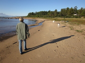 Enlarge photo 96