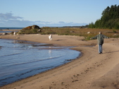 Enlarge photo 97